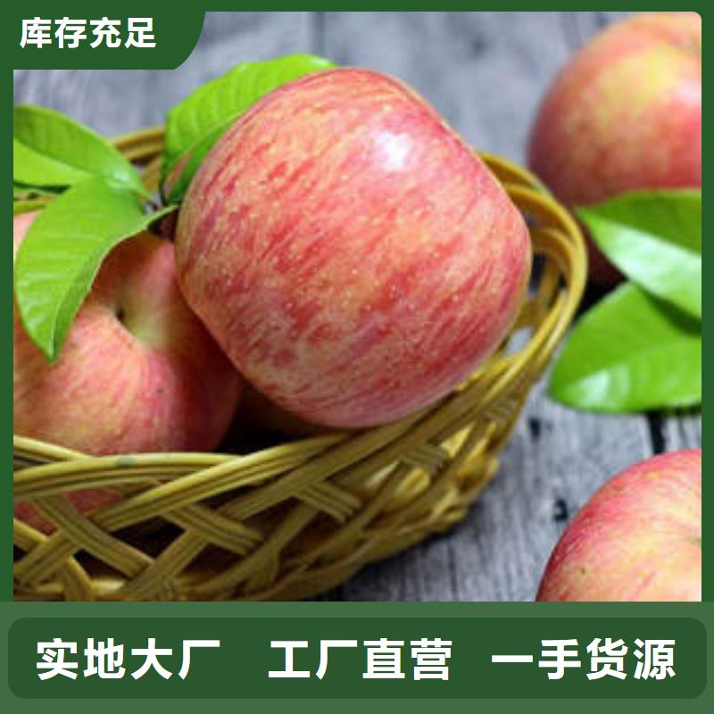 红富士苹果苹果种植基地严选好货