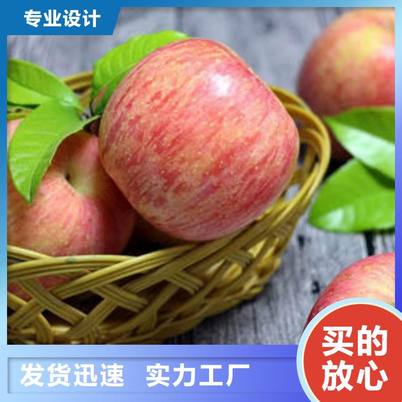 红富士苹果红富士苹果产地专注细节专注品质
