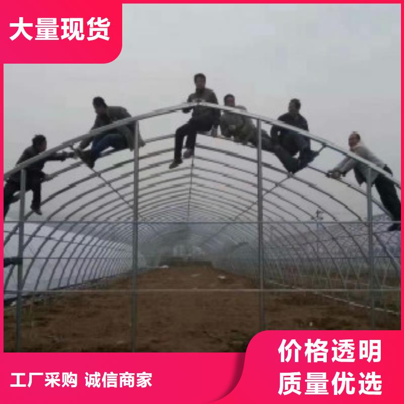 大棚管Q355C无缝方管匠心打造