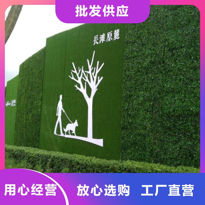 围挡草坪-假草皮围挡产地源头好货