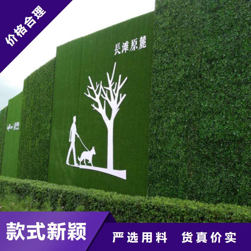 围挡草坪【人工草坪围挡】欢迎来厂考察