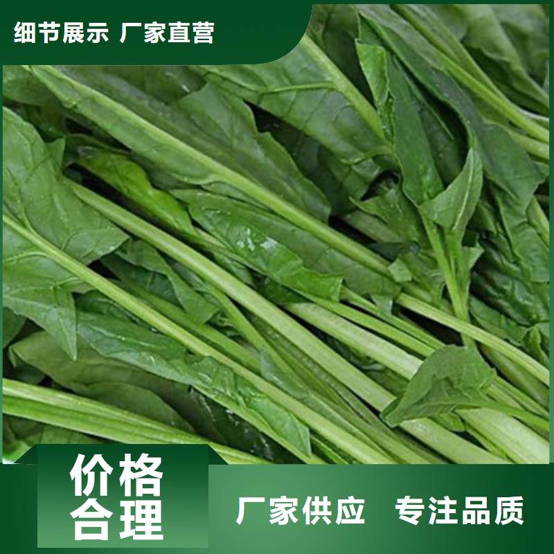 澄迈县菠菜粉施工队伍