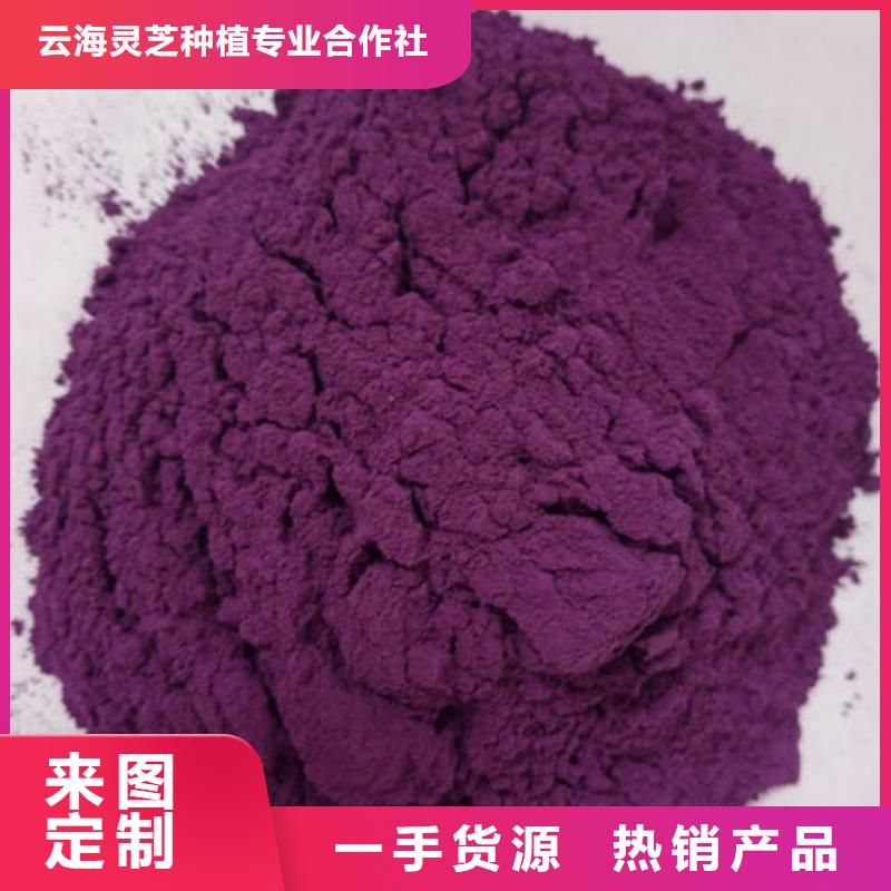 购买<云海>紫薯粉,破壁灵芝孢子粉同行低价
