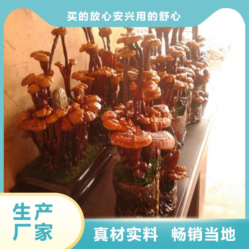 灵芝孢子粉质量有保障的厂家