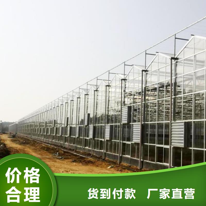 黑龙江省质量安全可靠【泽沃】草莓定尺大棚管品牌厂家2024