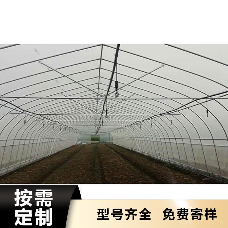 河北省沧州市南皮优选草莓定尺大棚管支持定制2024