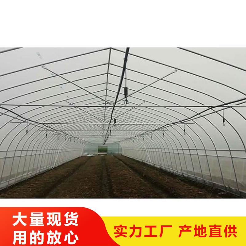 [泽沃]:广东省深圳市马峦街道果树骨架钢管承接2024原料层层筛选-