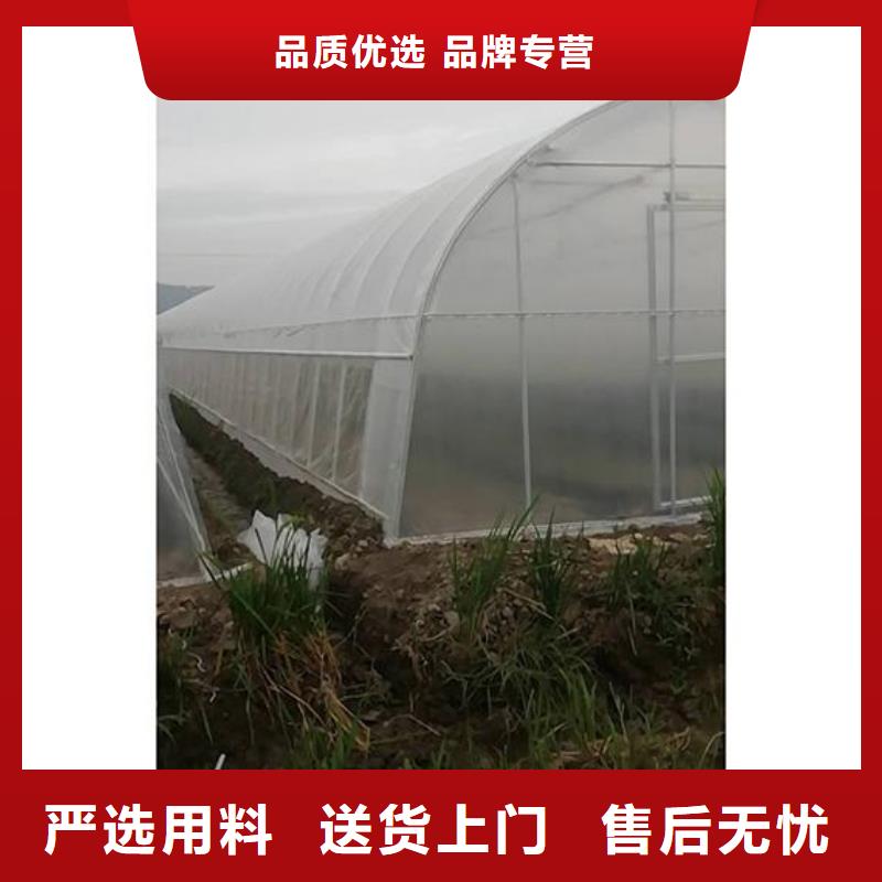 惠山区草莓养殖大棚管欢迎咨询