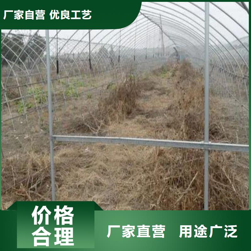 大棚管2椭圆管温室大棚信誉至上