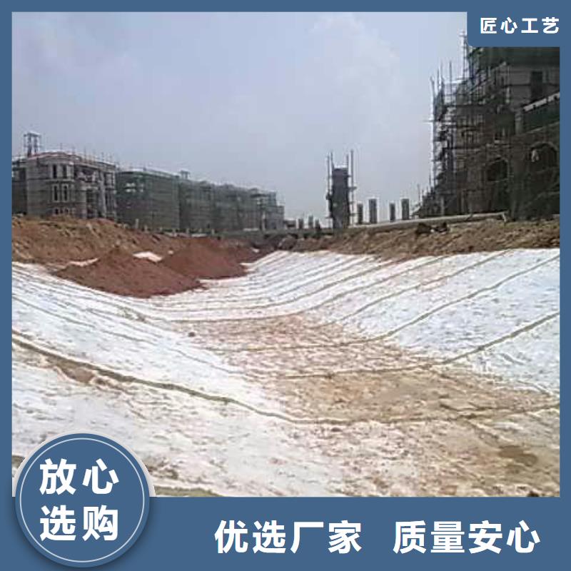 膨润土防水毯涤纶土工格栅批发价格