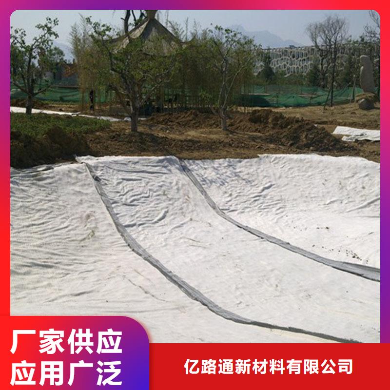 膨润土防水毯涤纶土工格栅批发价格