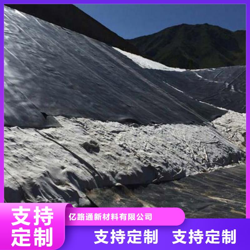 【土工膜钢塑土工格栅经销商】