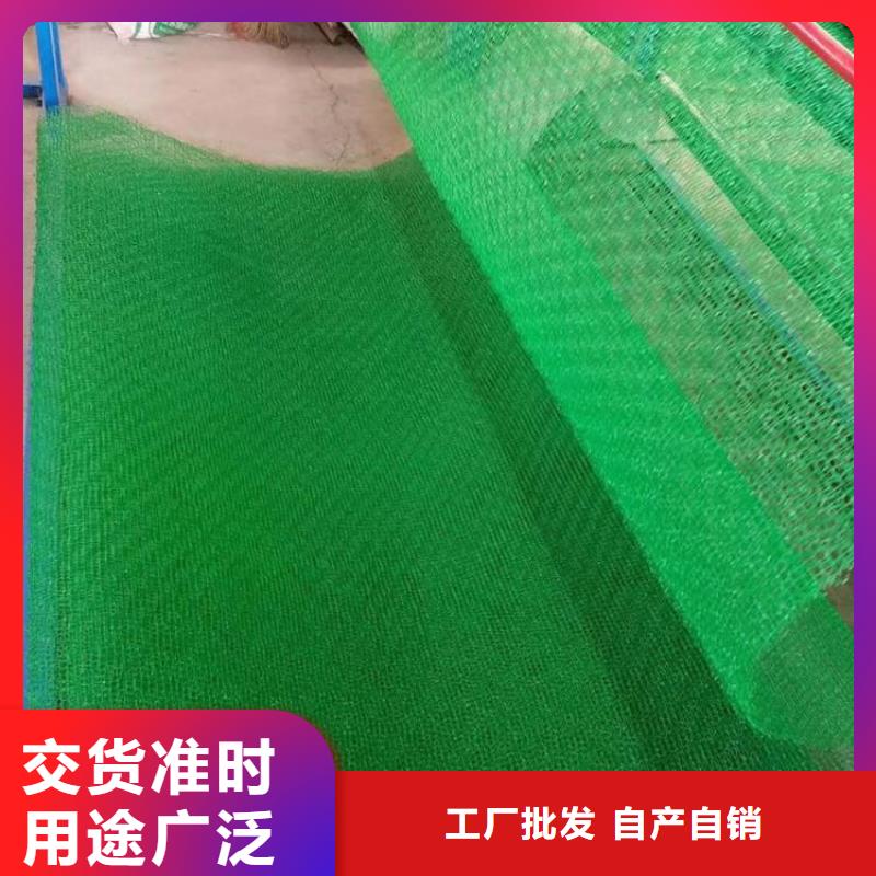 三维植被网_土工席垫今日新品