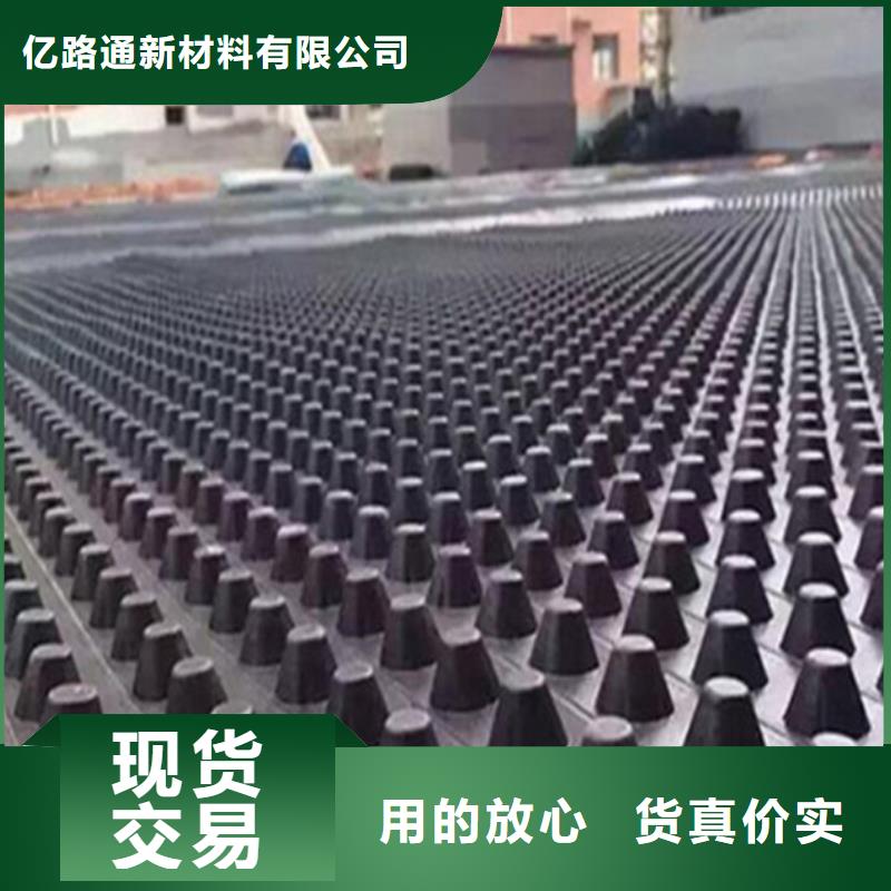 塑料排水板【钢塑土工格栅厂家】自有生产工厂