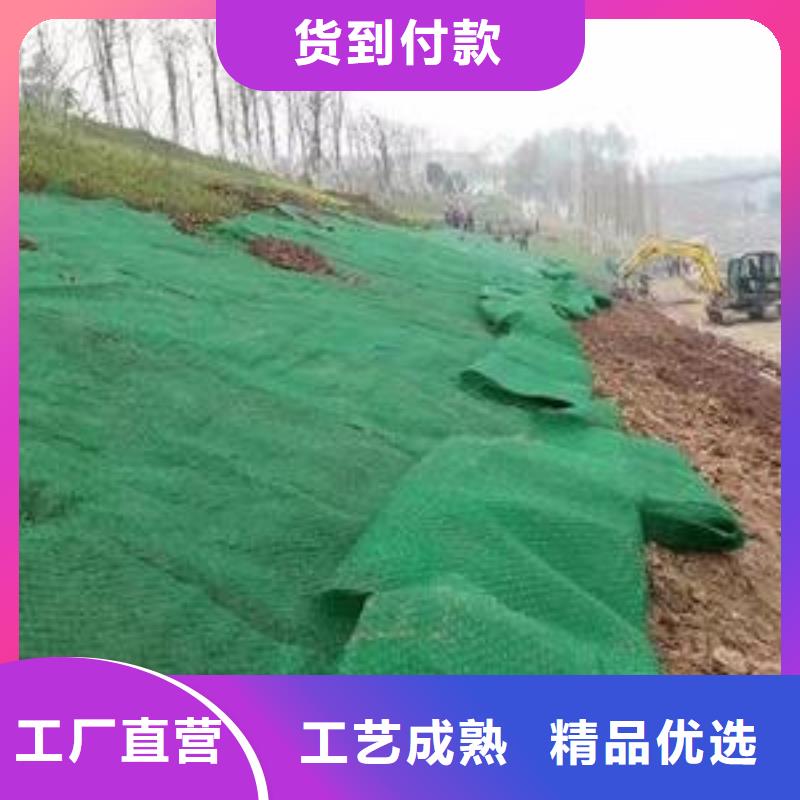 【三维植被网双向塑料土工格栅让利客户】