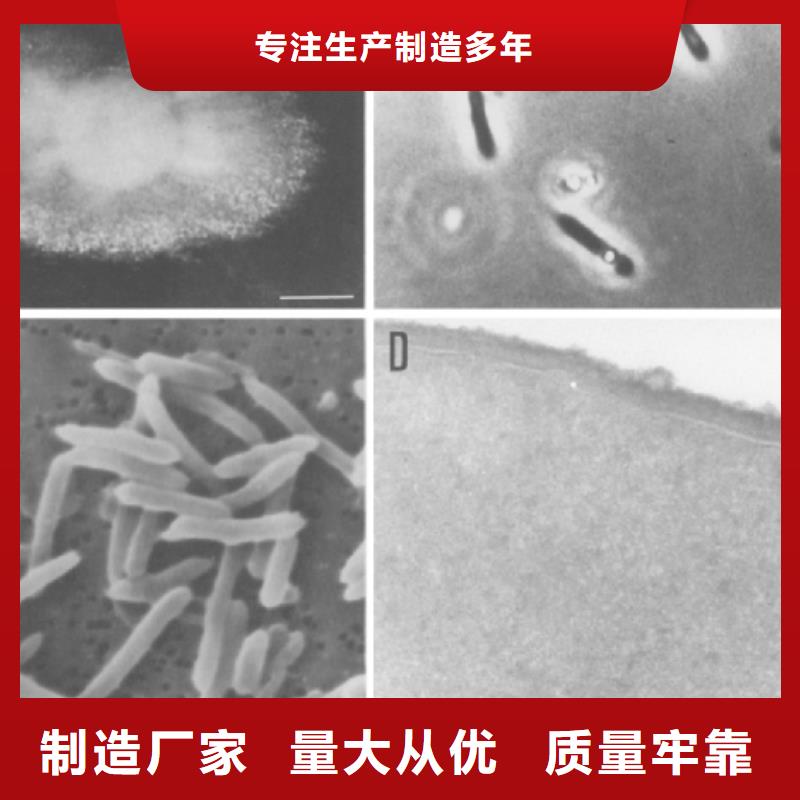 固体葡萄糖生产厂家