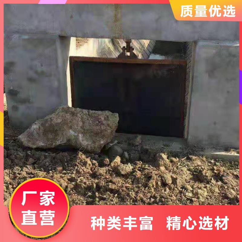 水电站铸铁闸门工厂直销