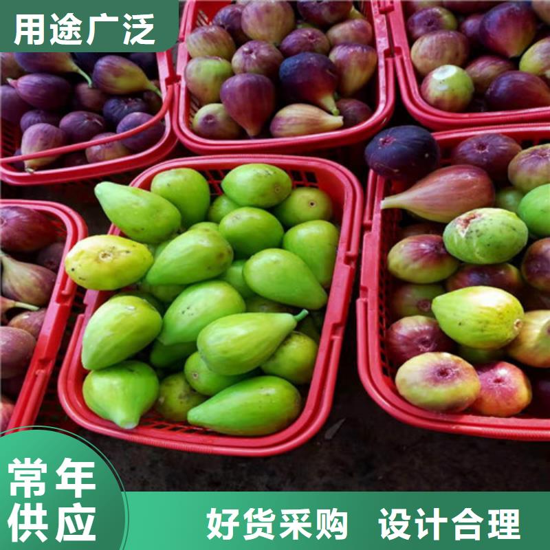 无花果,核桃苗应用范围广泛