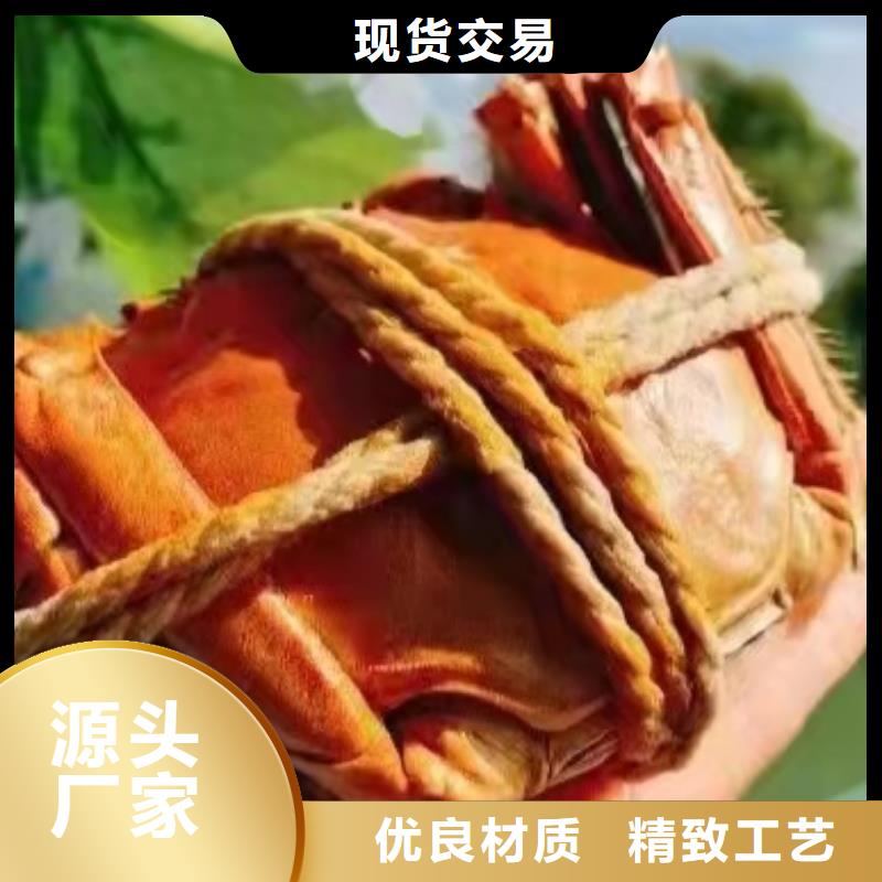 大闸蟹品牌-厂家