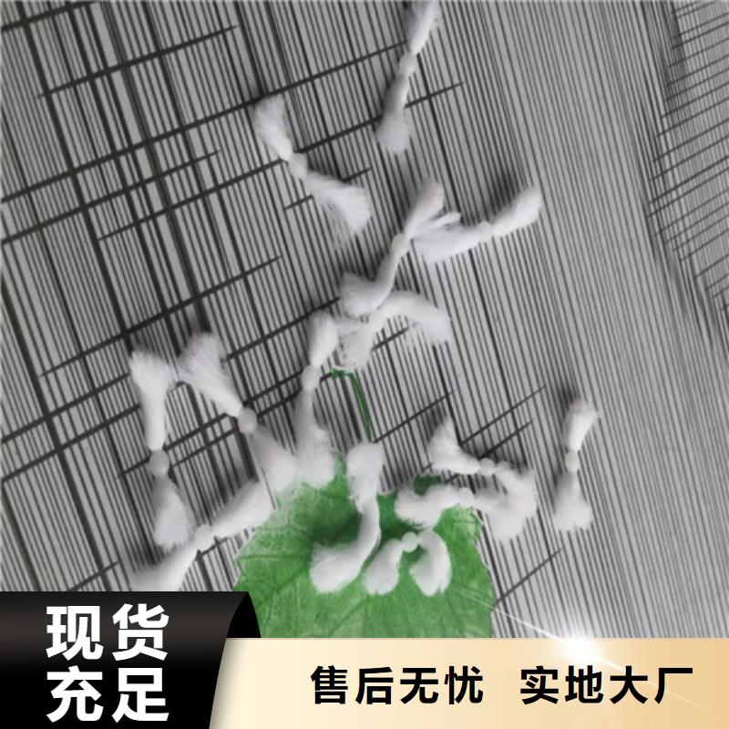 水处理填料【工业葡萄糖】批发供应