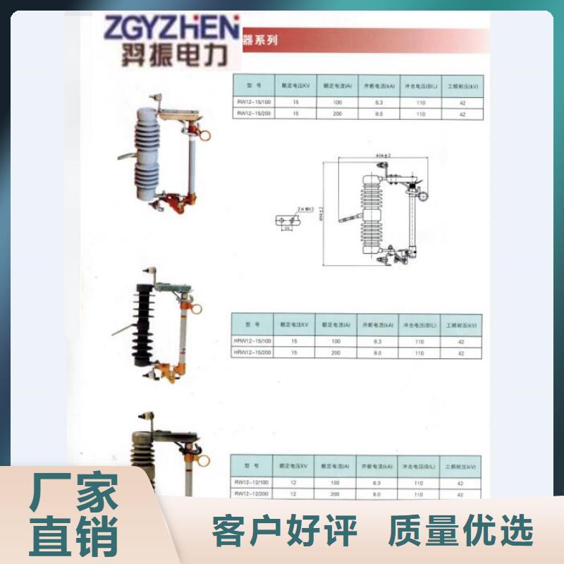 高压熔断器/HCHRW12F-100-12.5.