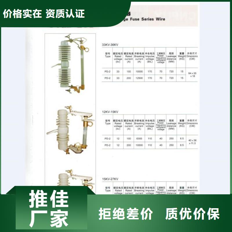 高压熔断器/PRWG1-10F