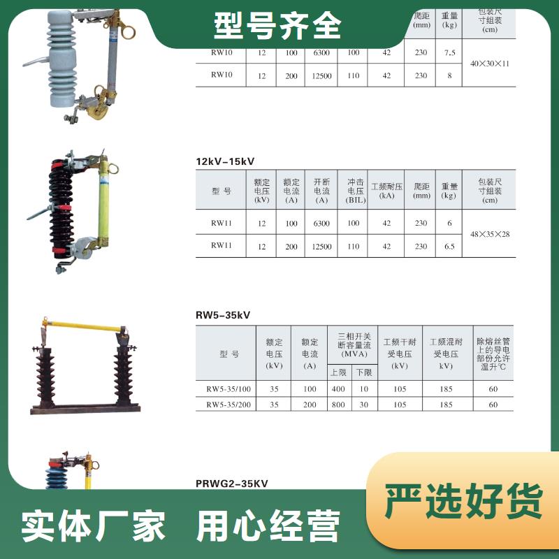 【跌落保险】RW12-10/100