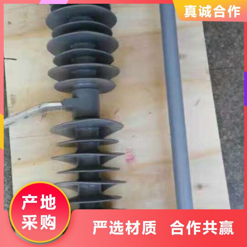 高压熔断器/RWJ-35KV/200【浙江羿振电气有限公司】