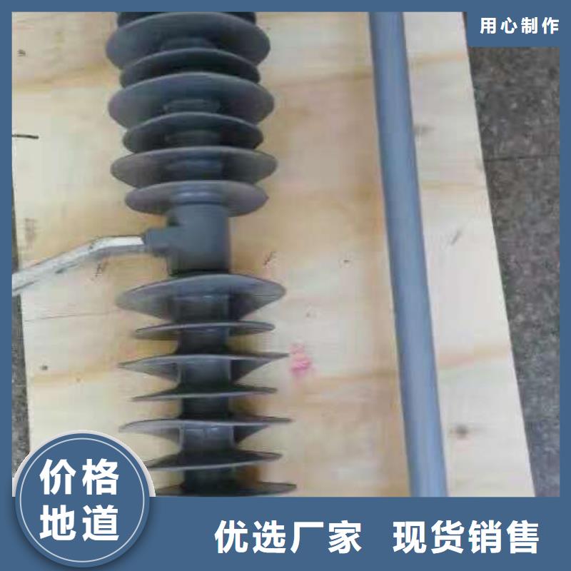 高压熔断器/FSC-10KV/200A