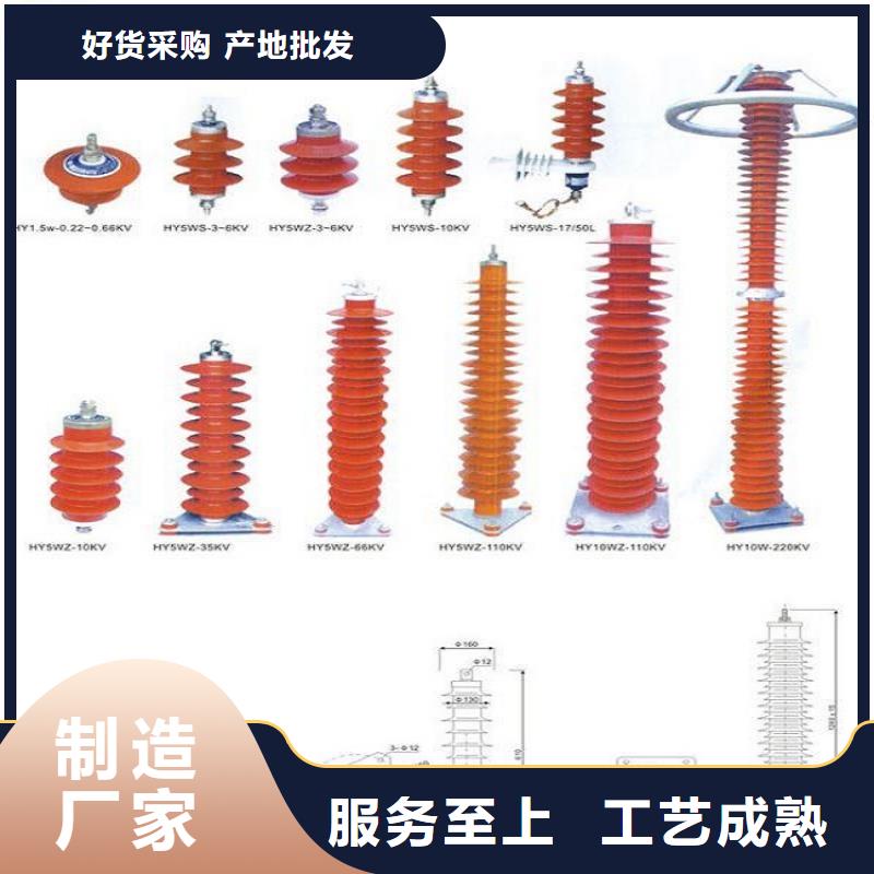 【乐清市柳市镇】氧化锌避雷器HY10WZ-96/232生产厂家