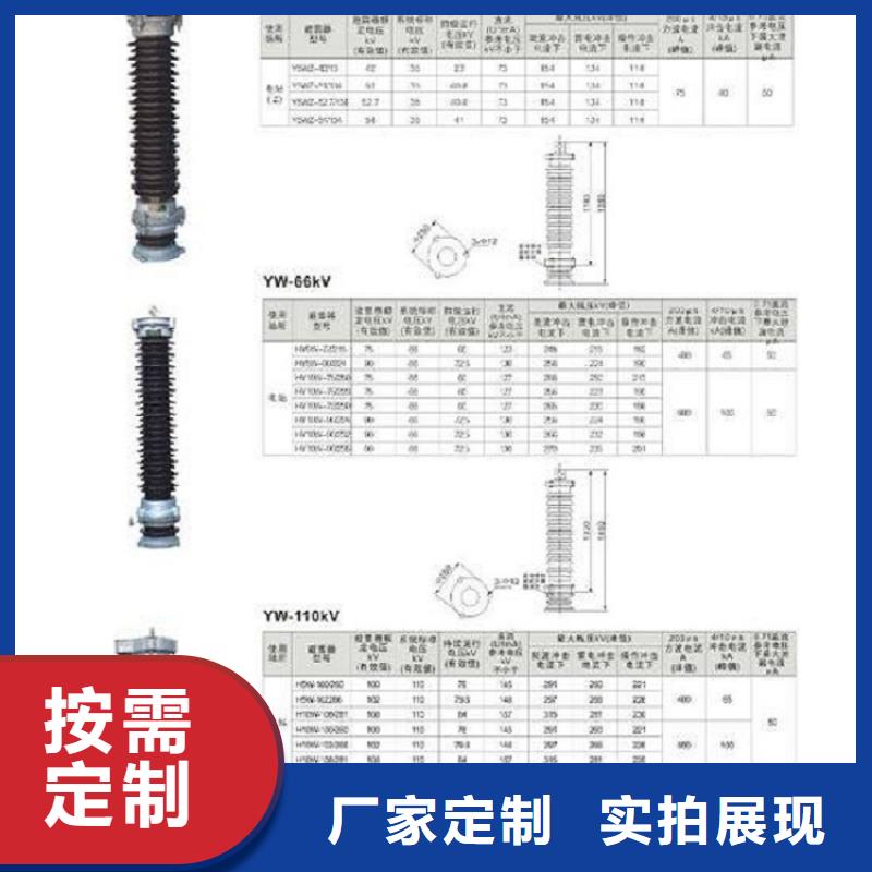 避雷器YH10CX5-102/266，放电计数器