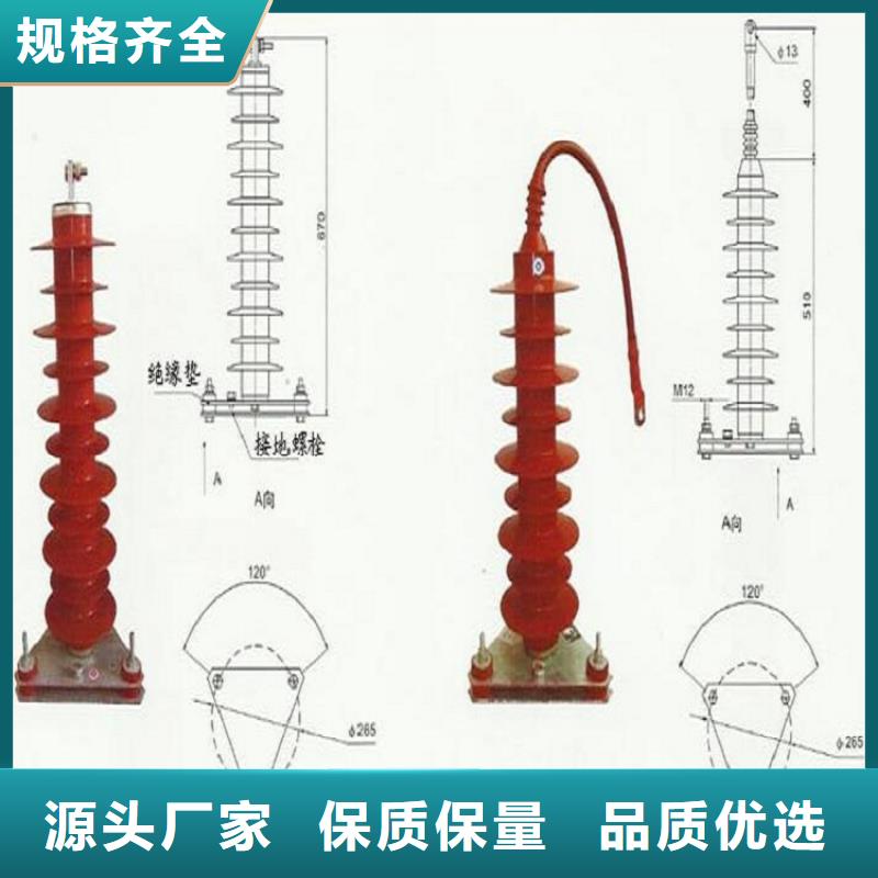 避雷器Y10W-52.7/134