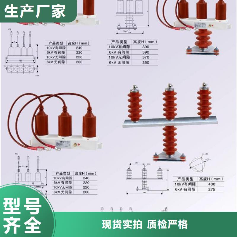 过电压保护器(组合式避雷器)TBP-B-12.7/38