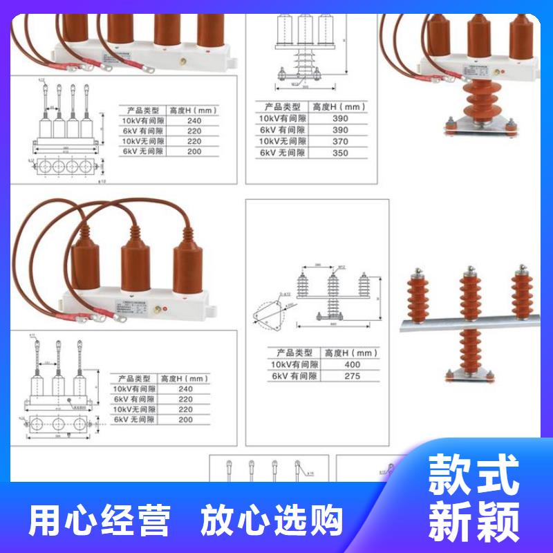 保护器(组合式避雷器)TBP-B-12.7/38