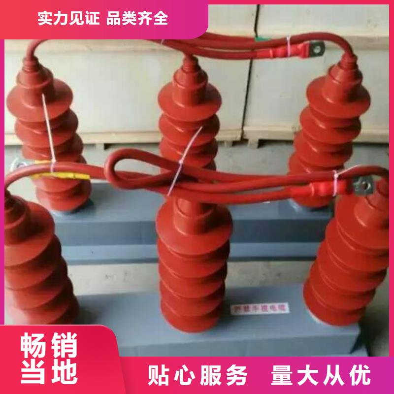 保护器(组合式避雷器)TBP-C-7.6/85-J