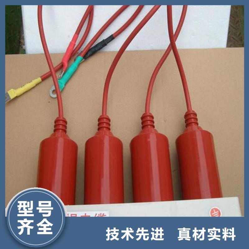 保护器(组合式避雷器)TBP-C-7.6/85-J