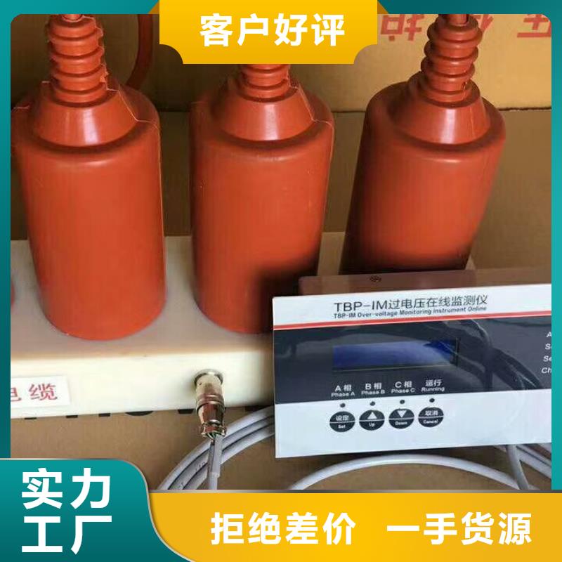 保护器(组合式避雷器)TBP-B-12.7/38