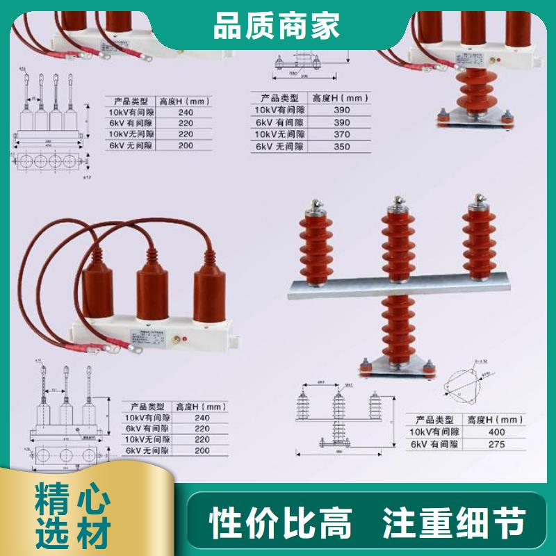 保护器(组合式避雷器)TBP-C-7.6/85-J