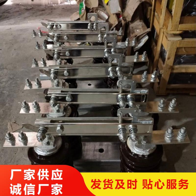 10KV单级隔离开关HGW9-15KV/1250