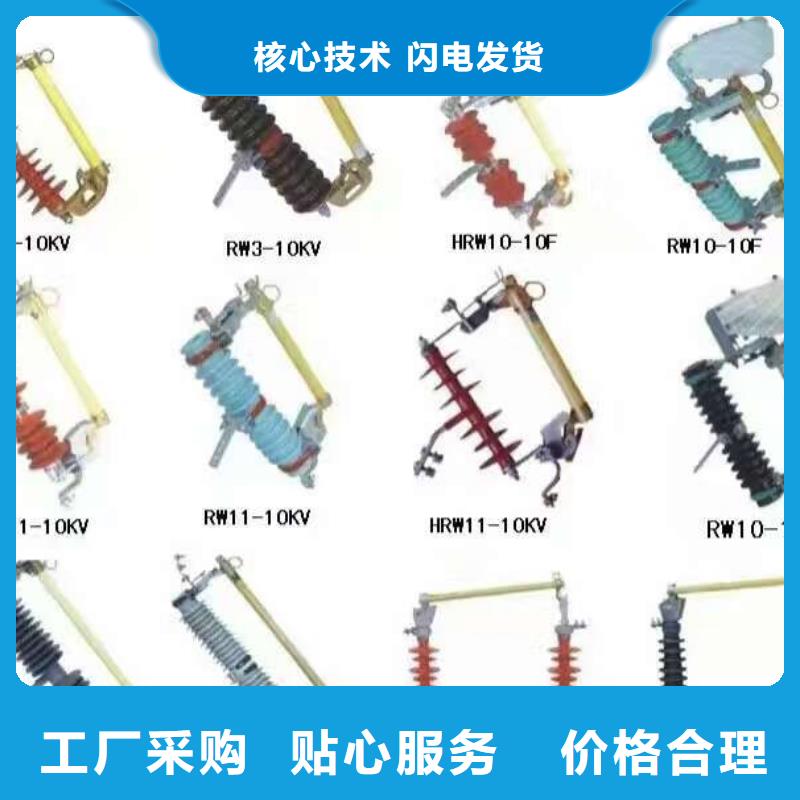 【羿振电气牌】【熔断器】跌落式开关＿跌落保险RW-10/200A