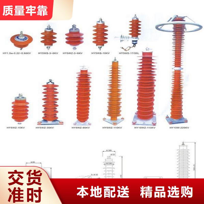 品牌：【羿振电力】避雷器Y10W-102/266