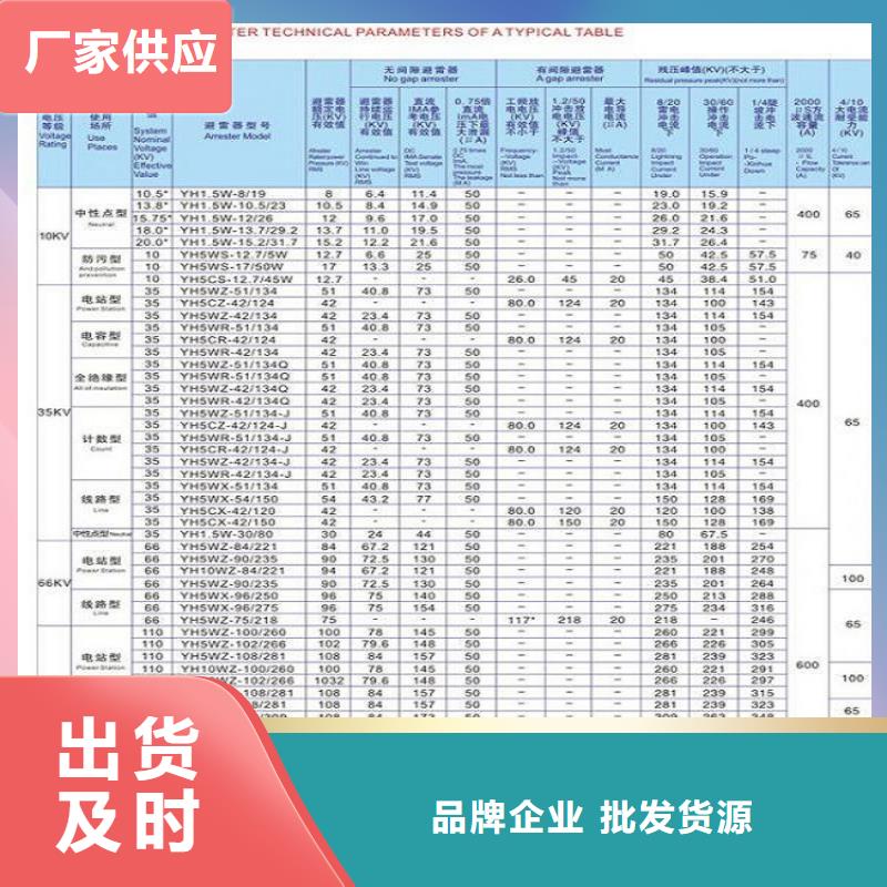 避雷器Y10W5-108/281W【羿振电力设备】