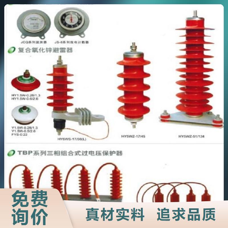 避雷器YH10WT-100/260【羿振电力】