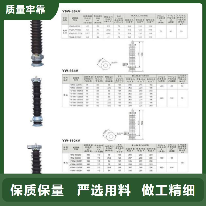 柳市厂家供应氧化锌避雷器Y10W5-108/281】