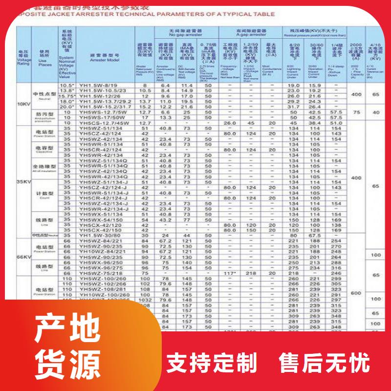 避雷器YH10WT-100/260【羿振电力】