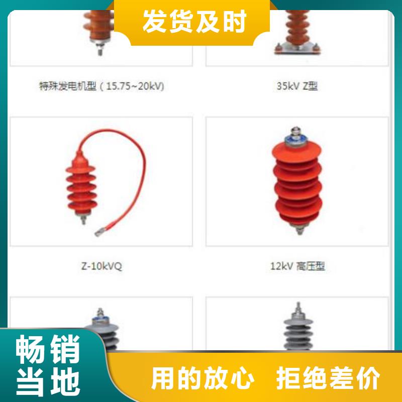 柳市厂家供应氧化锌避雷器Y10W5-108/281】