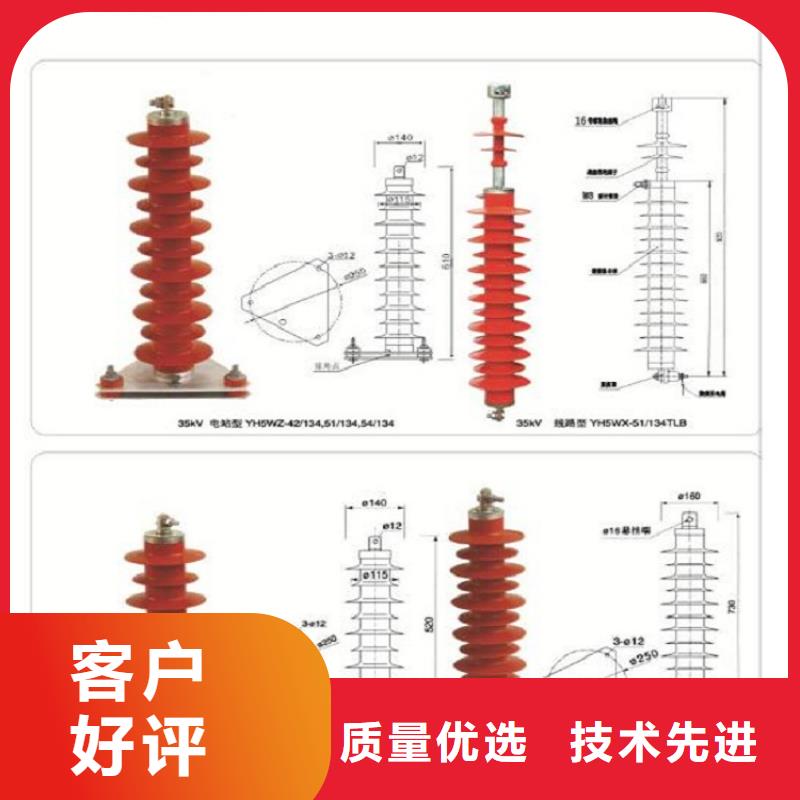 柳市厂家供应金属氧化物避雷器Y10W5-108/281W】