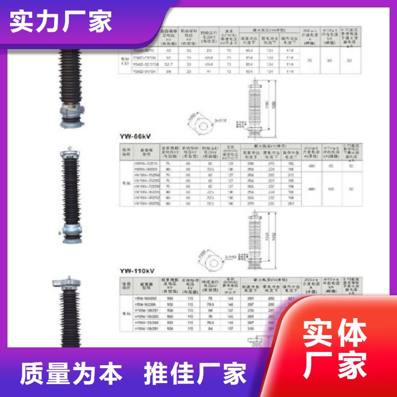 柳市厂家供应氧化锌避雷器Y10W5-108/281】