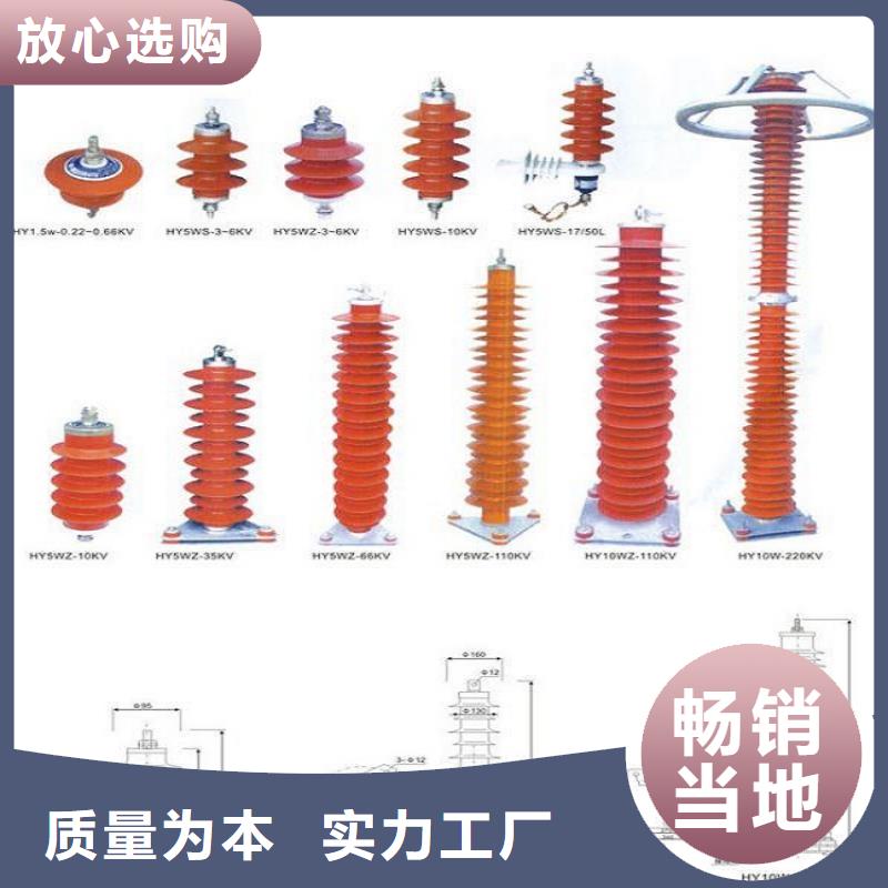 柳市厂家供应YH5WS-17/50避雷器】