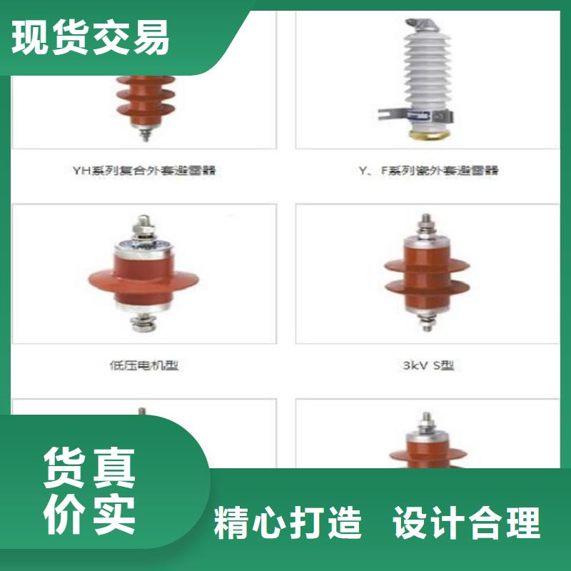 品牌：【羿振电力】避雷器Y10W-102/266